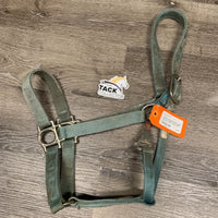 Thick Nylon Halter, spring snap *fair, fraying, stains, faded, dirty, rust, older, frayed holes