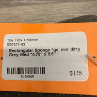Rectangular Sponge *gc, mnr dirty
