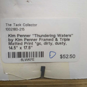 "Thundering Waters" by Kim Penner Framed & Triple Matted Print *gc, dirty, dusty