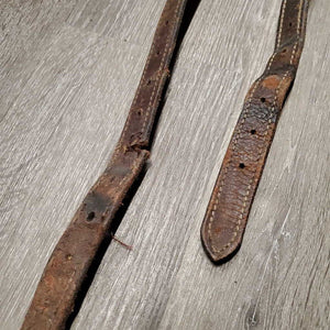 Leather Cribbing Collar *dirty, chewed, scraped, dry, TORN, CRACKING, older, stiff