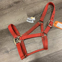 Nylon Halter *fair, dirty, stained, faded, missing/bent hole guards