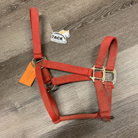Nylon Halter *fair, dirty, stained, faded, missing/bent hole guards
