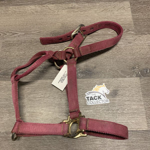 Thick Nylon Halter *fair, faded, tag, frayed edges, dirty, stains, older, stiff