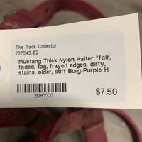 Thick Nylon Halter *fair, faded, tag, frayed edges, dirty, stains, older, stiff
