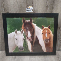 Plastic Framed Picture, 3 Horses *vgc, mnr dirt, & scratches, TAPED hanging clips