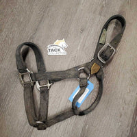 Thick Nylon Halter *v.stiff, older, fair, frays, faded, threads, stains, discolored, faded