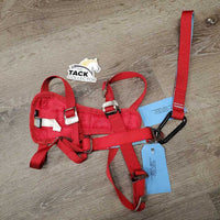 Nylon Dog Harness & Seatbelt Loop *xc, clean, mnr rust spots
