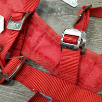 Nylon Dog Harness & Seatbelt Loop *xc, clean, mnr rust spots
