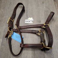Double Stitched Adjustable Leather Halter *gc, dirt, stains, chewed crown, mnr scuffs

