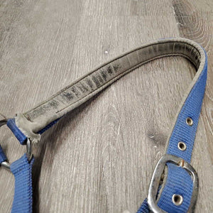 Padded Adjustable Nylon Halter *fair, dirty, stained, threads, bent missing decor, mnr rust, loose stitching