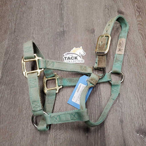 Double Nylon Halter *gc, dirty, stained, mnr hair, rubs, scuffed plaiting, faded