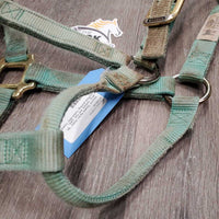 Double Nylon Halter *gc, dirty, stained, mnr hair, rubs, scuffed plaiting, faded
