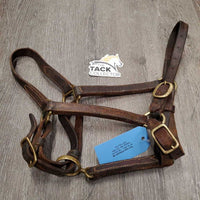 Double Stitched Adjustable Leather Halter, brass hardware *gc, dirt, stains, cracks, scratches, dry