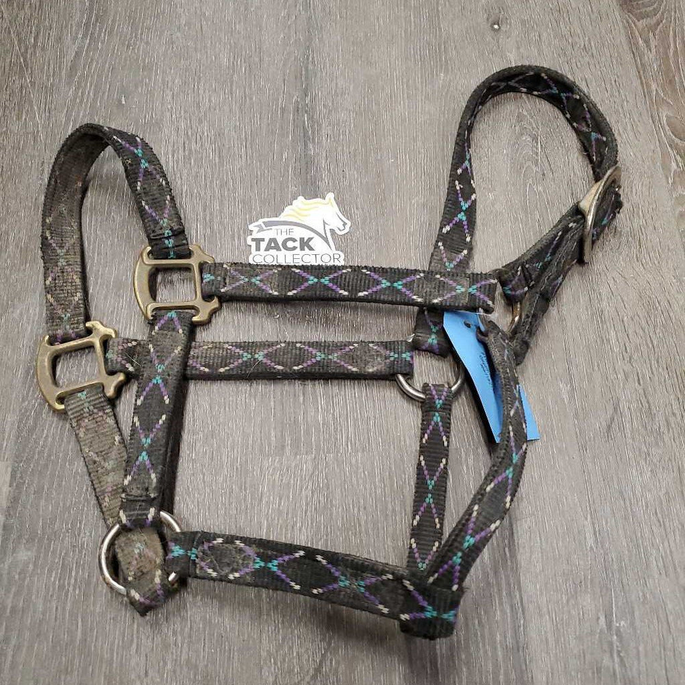 Double Nylon Halter *gc, dirty, stained, hair, frayed holes, stiff, edge rubs